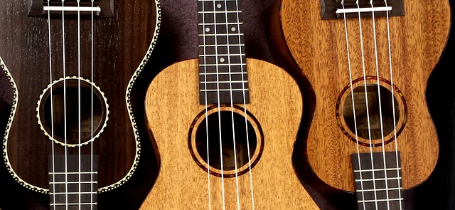 3 ukulele
